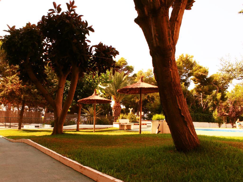 Coveta Beach Apartament El Campello Buitenkant foto