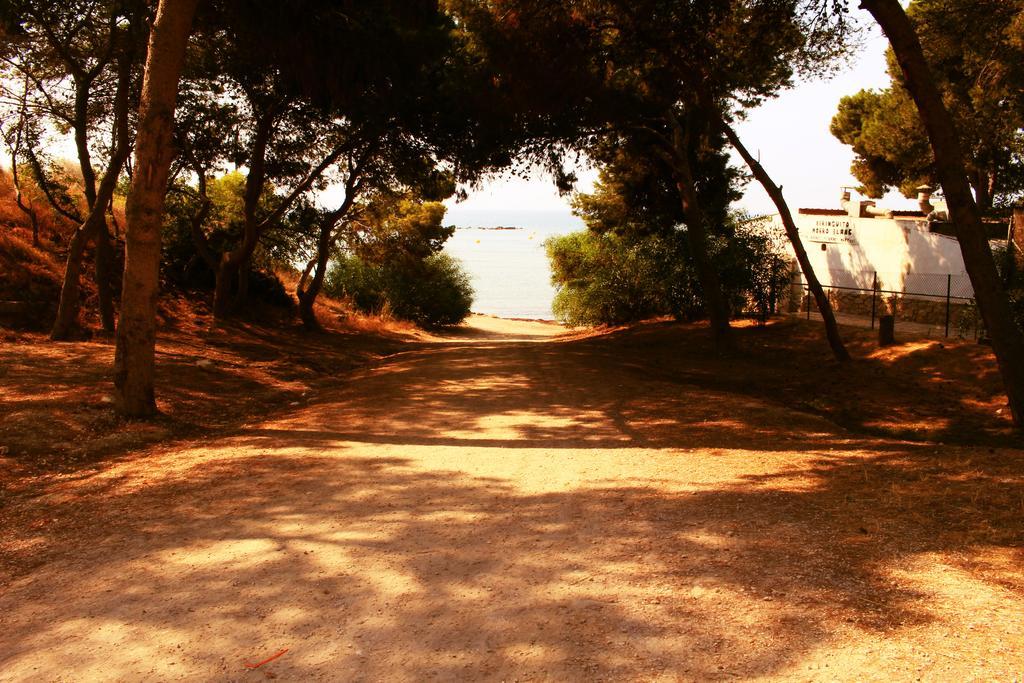 Coveta Beach Apartament El Campello Buitenkant foto